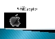 애플(apple),애플(apple)의 성공 비결,폐쇄에코시스템